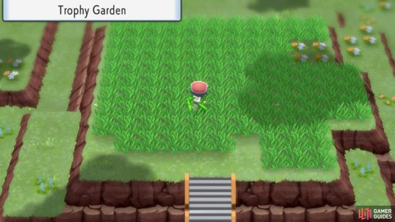 The Trophy Garden.