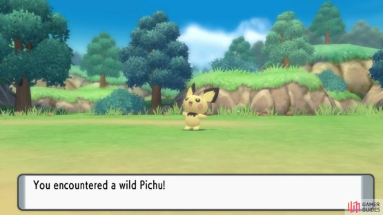 You can encounter rare Pok&eacute;mon here, especially after getting the National Pok&eacute;dex.