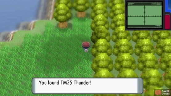 TM25 Thunder.