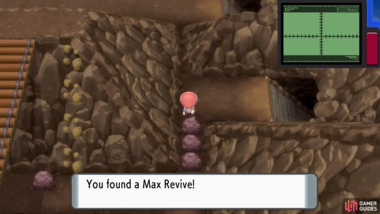 Hidden Max Revive.
