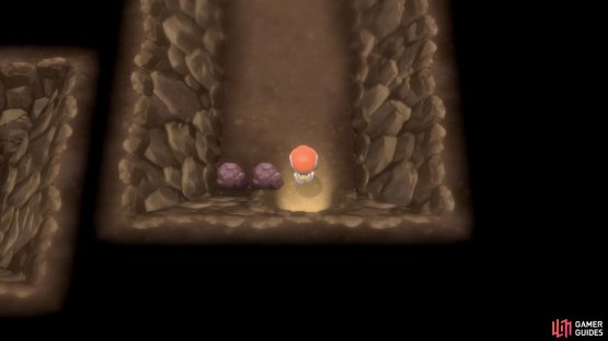 You can use Flash to light up the area.