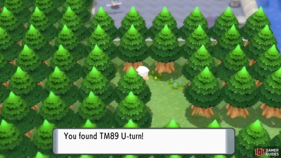 Walk to the left to find TM89