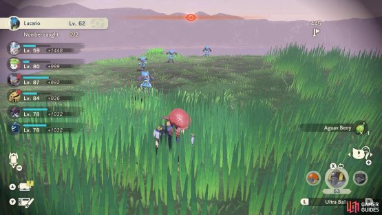 A Riolu outbreak.