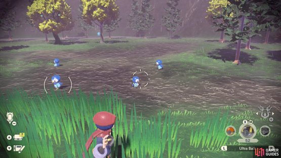 A Piplup outbreak.
