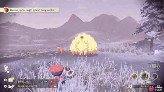 A Vulpix outbreak.