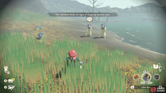 A Quilava outbreak.