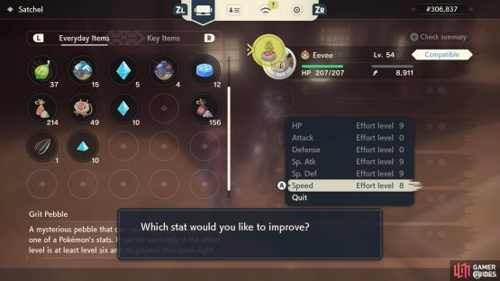 Then use these Grit items to boost your Pok&eacute;mon&rsquo;s Effort Levels.
