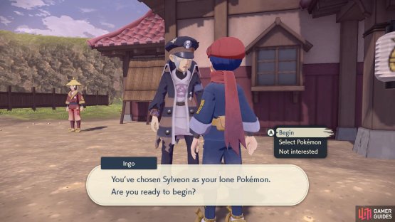 To enter, you need to arrange your party so there&rsquo;s only one Pok&eacute;mon.