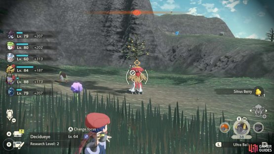 There’s even a Hisuian Decidueye in this Dartrix outbreak.