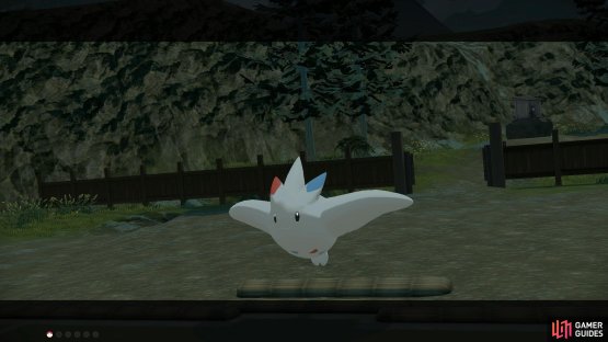 Only Trash Cloak Wormadam stands a chance against Togekiss.