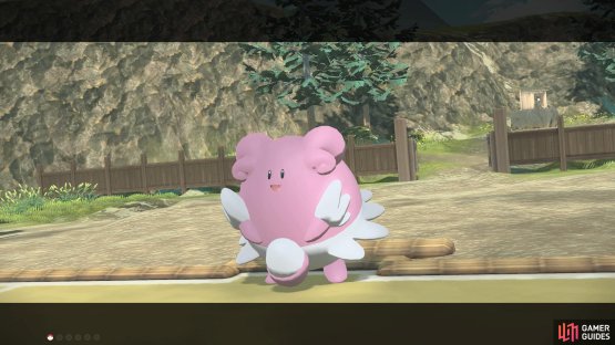 Argh, a Blissey!?