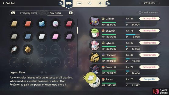 Arceus is strong but not that special, until you use this.