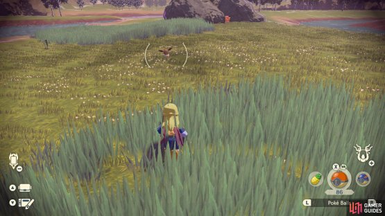 Eevee location in the center of Horseshoe Plains