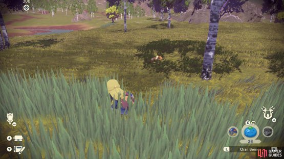Eevee location in the south of Horseshoe Plains.