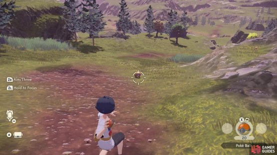 You can focus before throwing a Pok&eacute; Ball or aim manually.