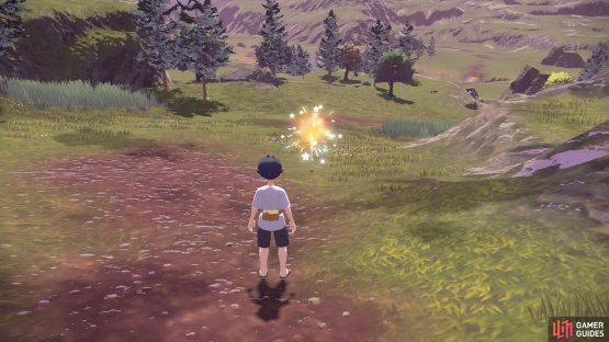 Either way, the Bidoof won&rsquo;t put up much resistance.