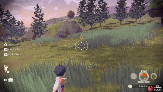 If you crouch inside tall grass, your chances of being seen will plummet.
