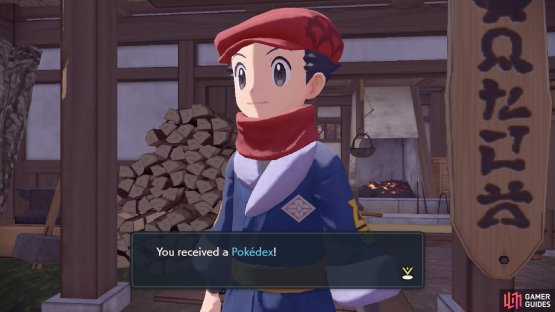 For this mission, you&rsquo;ll be working on the Pok&eacute;dex.
