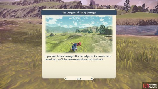 Getting hit by Pok&eacute;mon will reduce your health and can eventually cause you to faint!