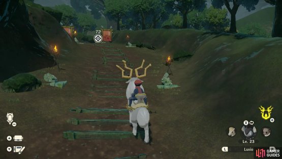 Thanks to Wyrdeer, it shouldn&rsquo;t take long to reach Grandtree Arena again.