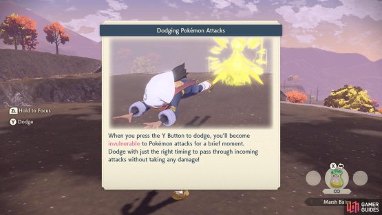 I-frames in a mainline Pok&eacute;mon game!?