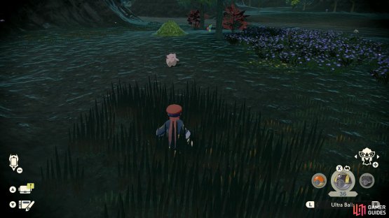 Before it appears, you must catch a Clefairy.