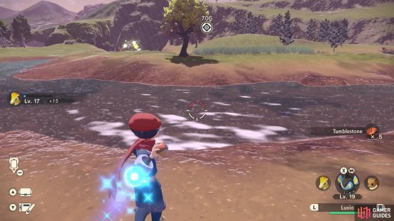 When a shiny Pok&eacute;mon appears, stars will appear and there will be a chime.