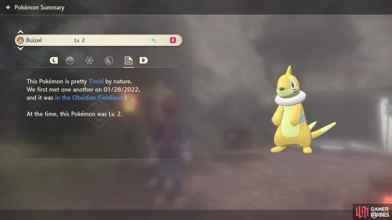 A shiny Buizel.