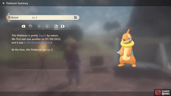 A regular ol&rsquo; Buizel.