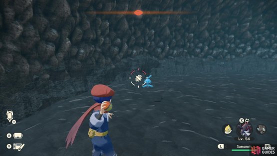 …then throw a Pokémon again to battle them!