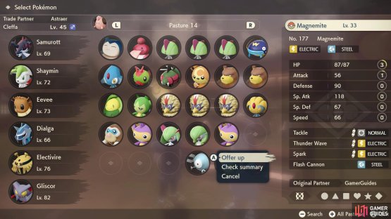 Choose any Pok&eacute;mon from your party or boxes.