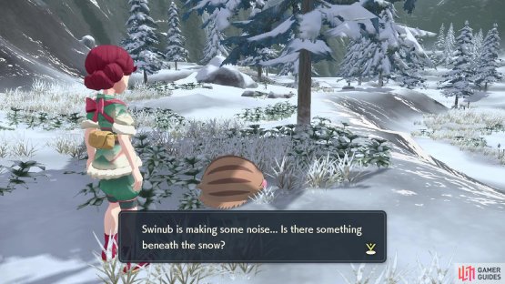 Use Swinub to find mushrooms buried in the snow