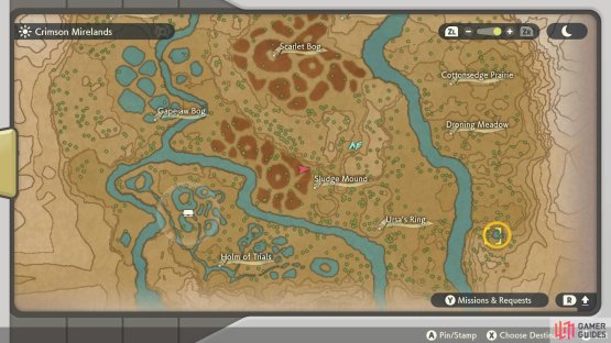 Turtwig&rsquo;s location