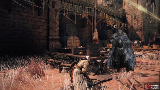 Blaidd can be found in the Redmane Castle Plaza before the boss fight.