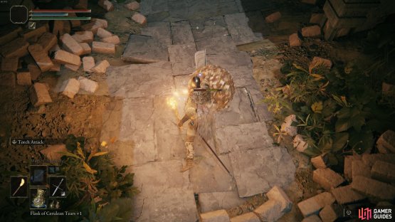 You&rsquo;ll need to kill the Teardrop Scarab quickly before it disappears.