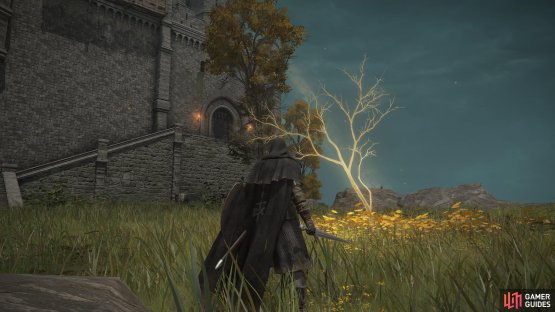 To the south of Fort Haight, there&rsquo;ll be a minor Erdtree that contains the Golden Seed.