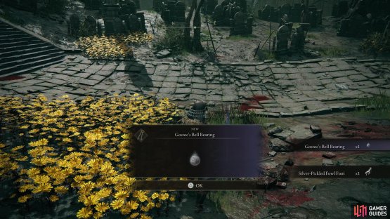 be sure to hand over the Bell Bearing to the Twin Maiden Husks in Roundtable Hold.