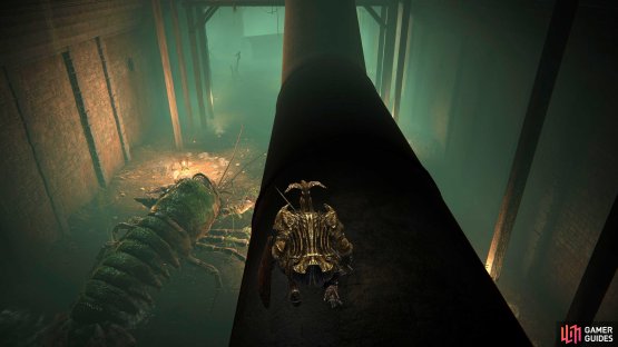 The first Lobster will be near where you drop