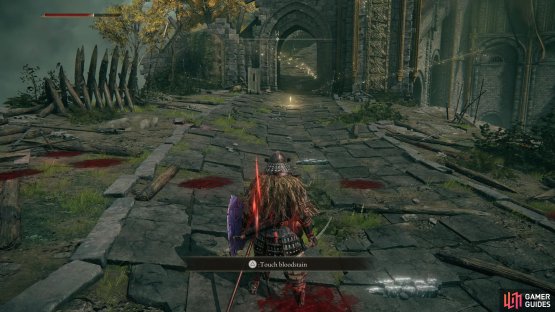 Most players will access the Hold via the Site of Grace after defeating Margit