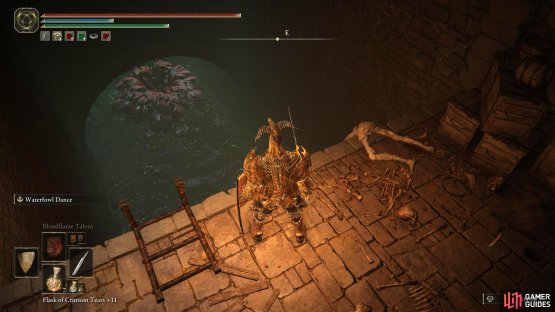 Take the ladder down into the Basilisk and Miranda Flower infested tunnel and follow it until you reach a what looks like a dead-end.