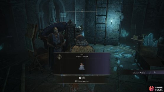 Seluvis will give you a potion to give to Nepheli Loux