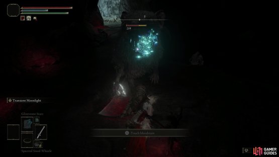 Several rats inhabit a chamber in the cave, including a giant specimen.