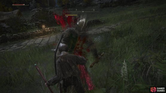 Around a dozen Godrick Soldiers lurk around the Gatefront Ruins - most of them are easily backstabbed.