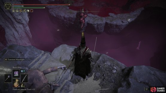 then watch as the (apparently flightless) bird derps itself off a cliff, leaving you over 10,000 Runes richer.