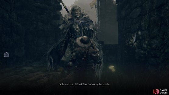 and Blaidd will show up.