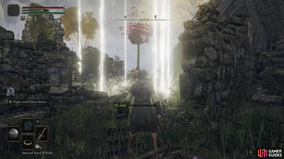 While the Poison Flowers may not be very mobile, you do need to be wary of the magic the giant variety can call down.