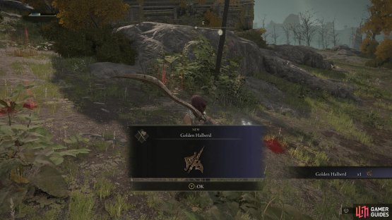 For defeating Tree Sentinel you&rsquo;ll earn the Golden Halberd