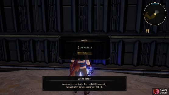 There&rsquo;s a chest housing two Life Bottles on 1F