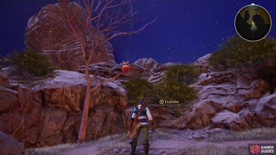 There&rsquo;s the third Owl to discover on the raised area to the southwest