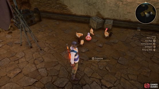 head to the 3F and search amongst the chickens to locate it.